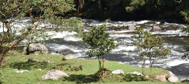 Trekking nel Santuario Otún Quimbaya