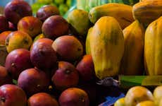 Colombian Fruit Tour