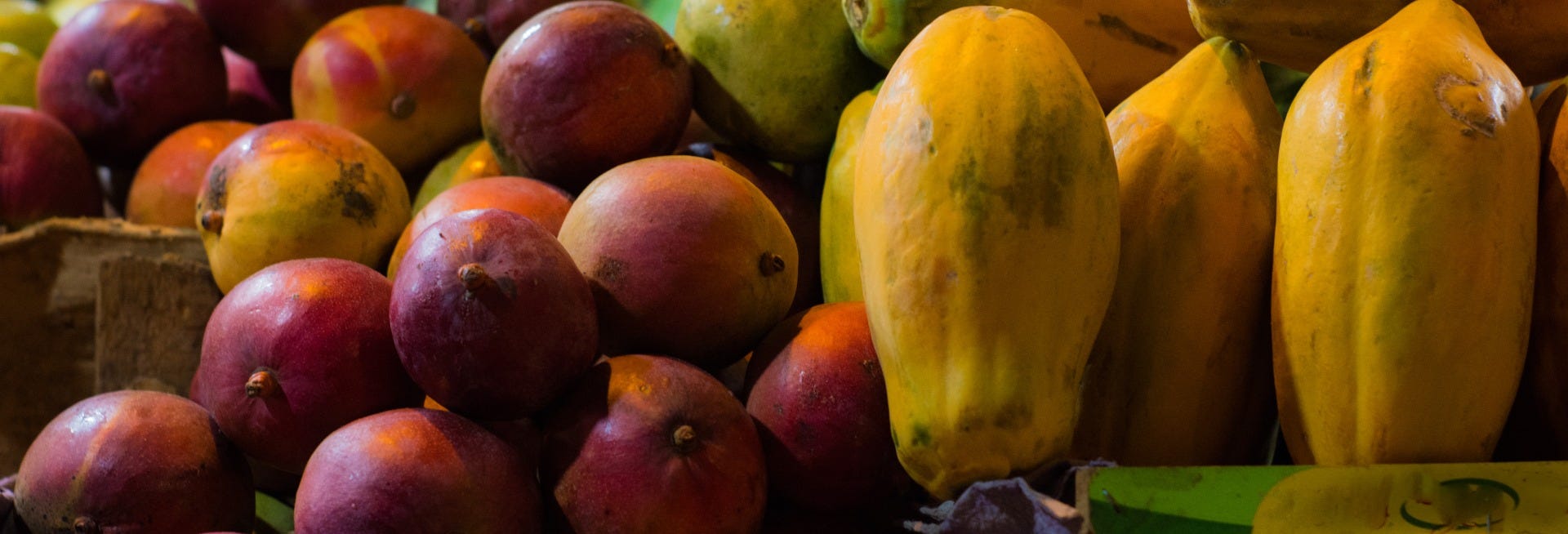 Colombian Fruit Tour