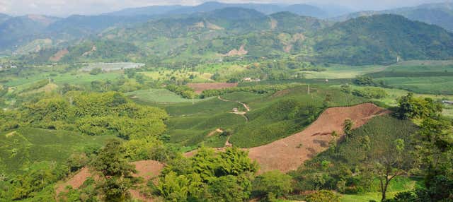Volo privato in parapendio sull'Eje Cafetero