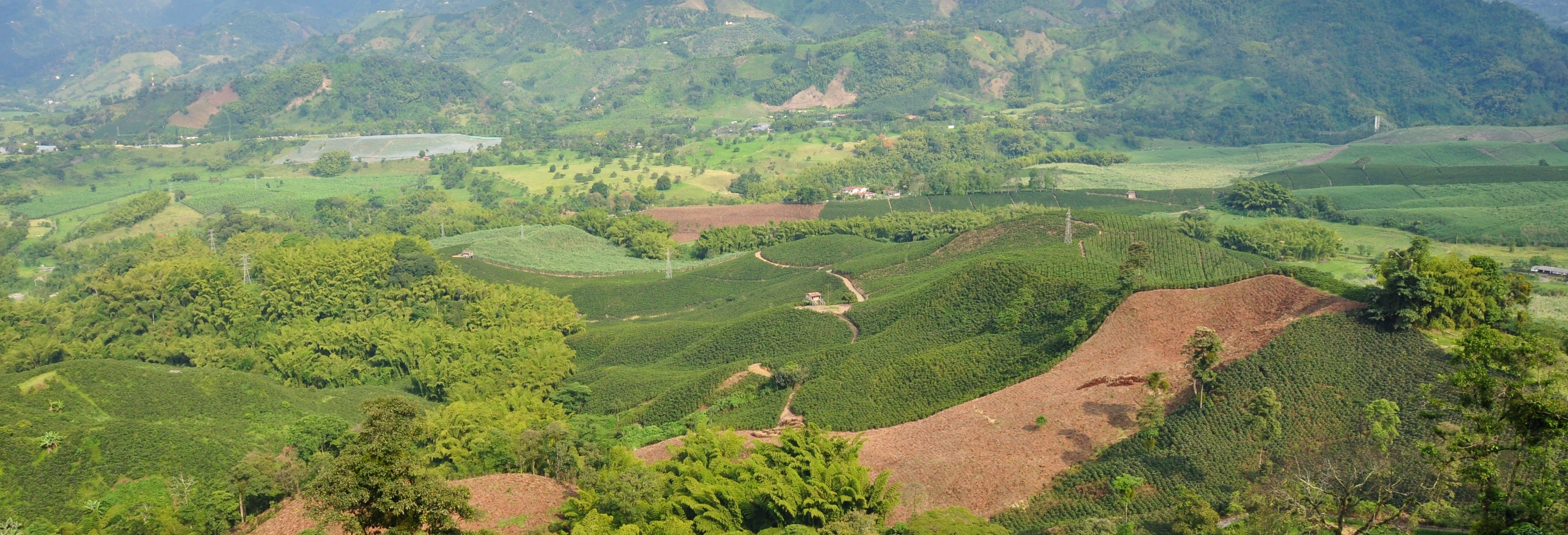 Colombian Coffee Region Private Paragliding Activity