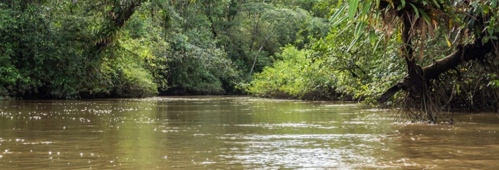 River Tundó Canoe Trip