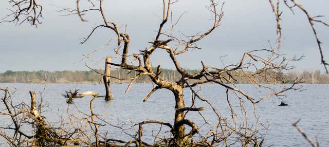 Escursione alla Ciénaga Grande de Santa Marta