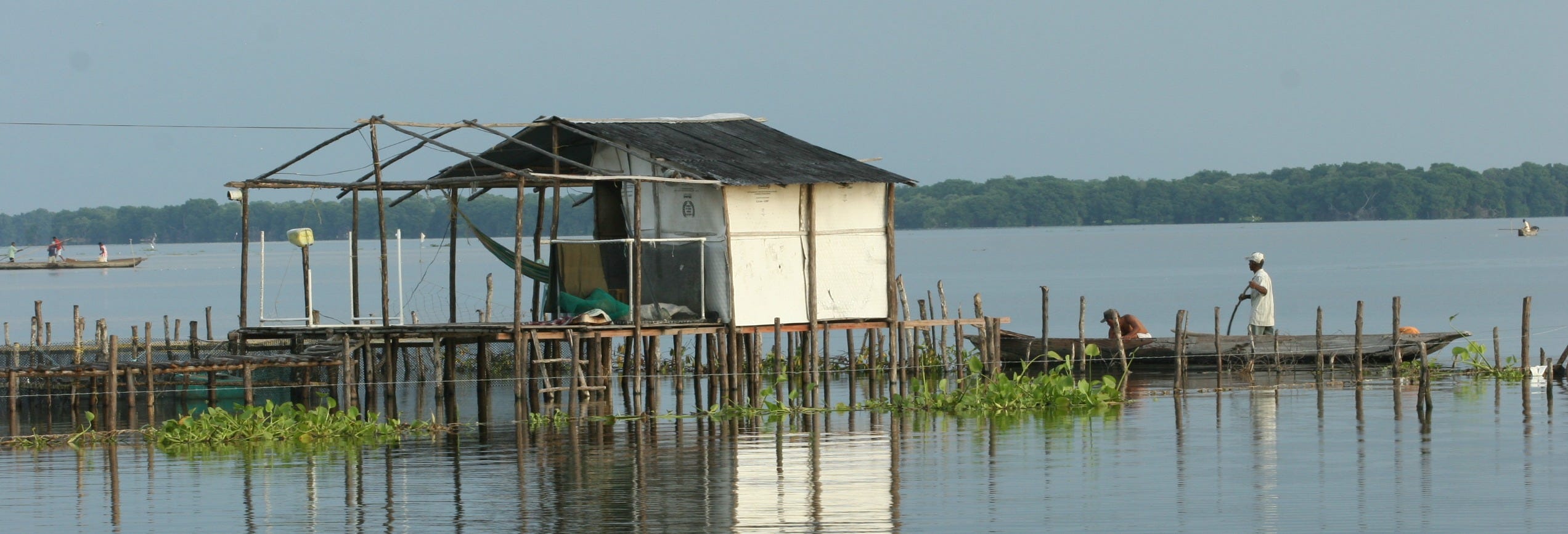 Ciénaga Excursion