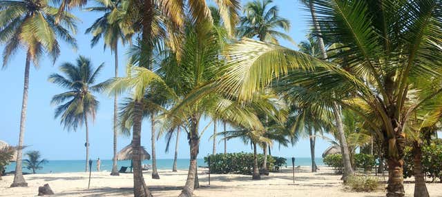 Escursione a Palomino