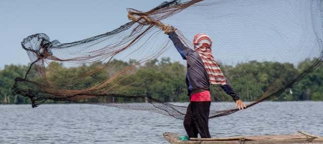 Escursione ai villaggi palafitticoli di Ciénaga