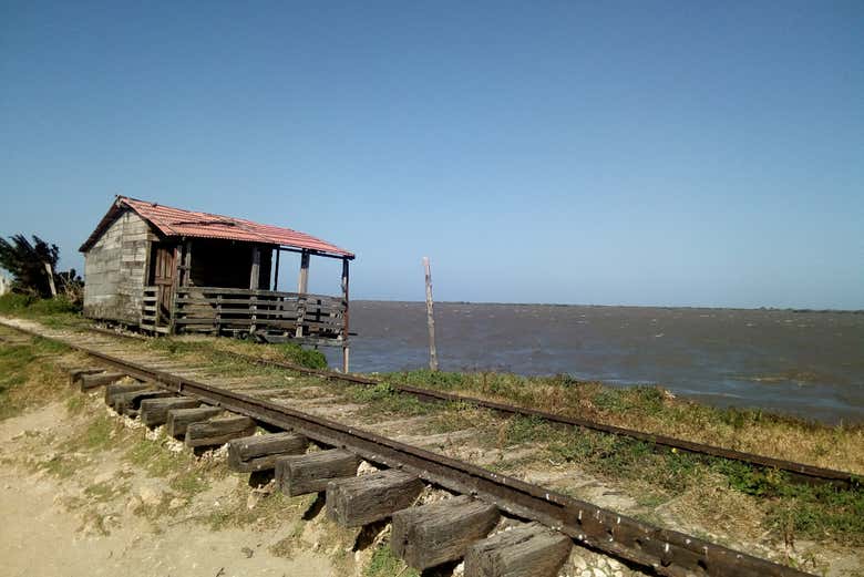 Imagen 4