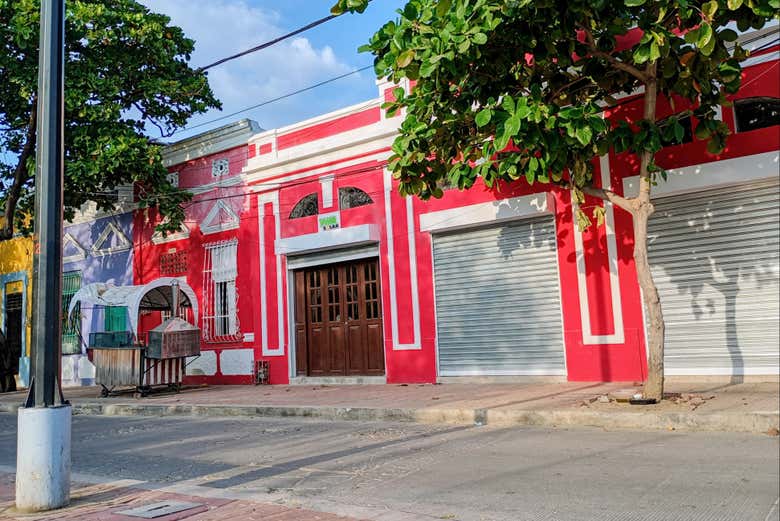 Imagen 10