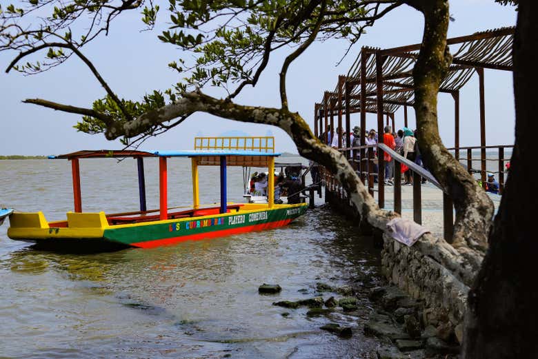 Imagen 6