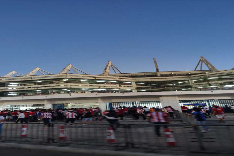 Imagen 10