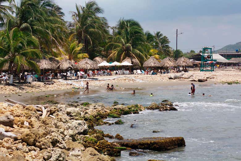 Imagen 5