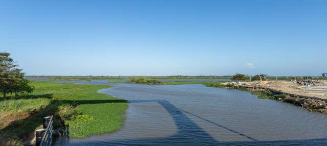 Magdalena River Boat Ride