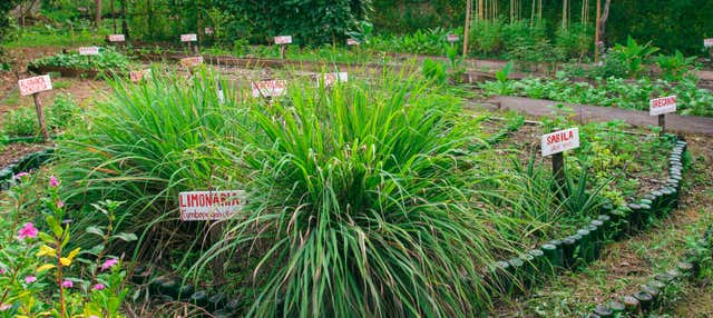 Tour della riserva naturale Territorio Batis
