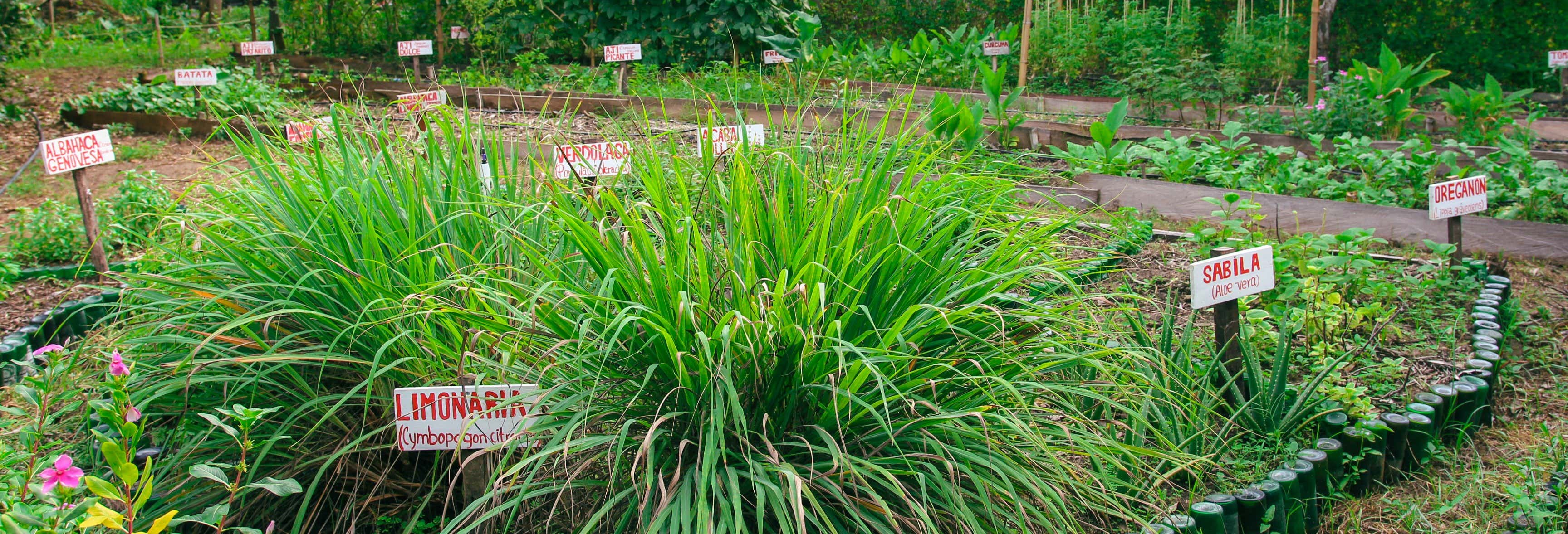 Tour della riserva naturale Territorio Batis