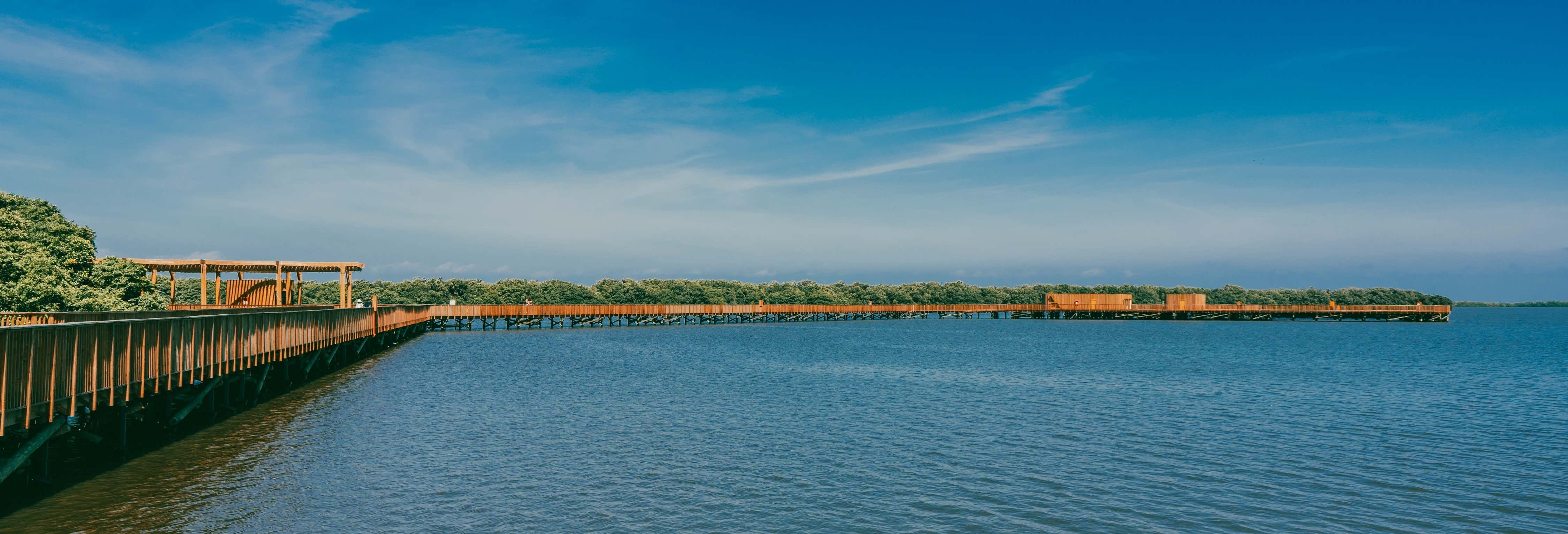 Visita all'Ecoparco Ciénaga de Mallorquín