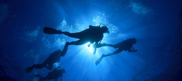 Immersione per principianti a Barú