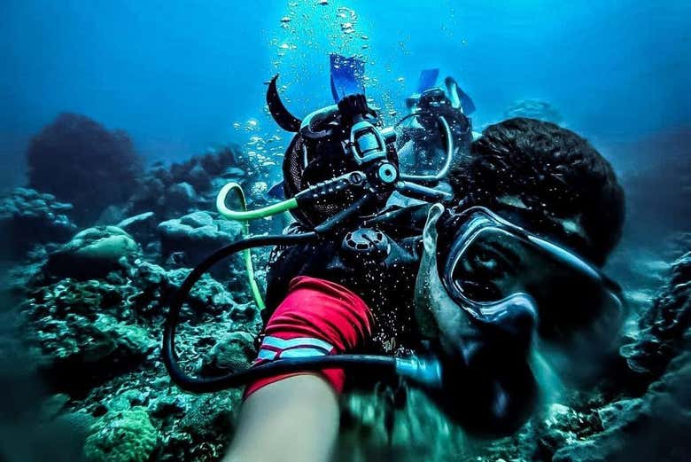 Comme un poisson dans l'eau - Comme un poisson dans l'eau