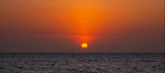 Paseo en barco al atardecer por la bahía de Barú