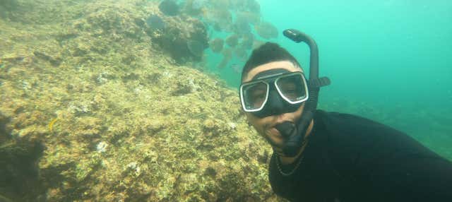 Snorkeling a Baru