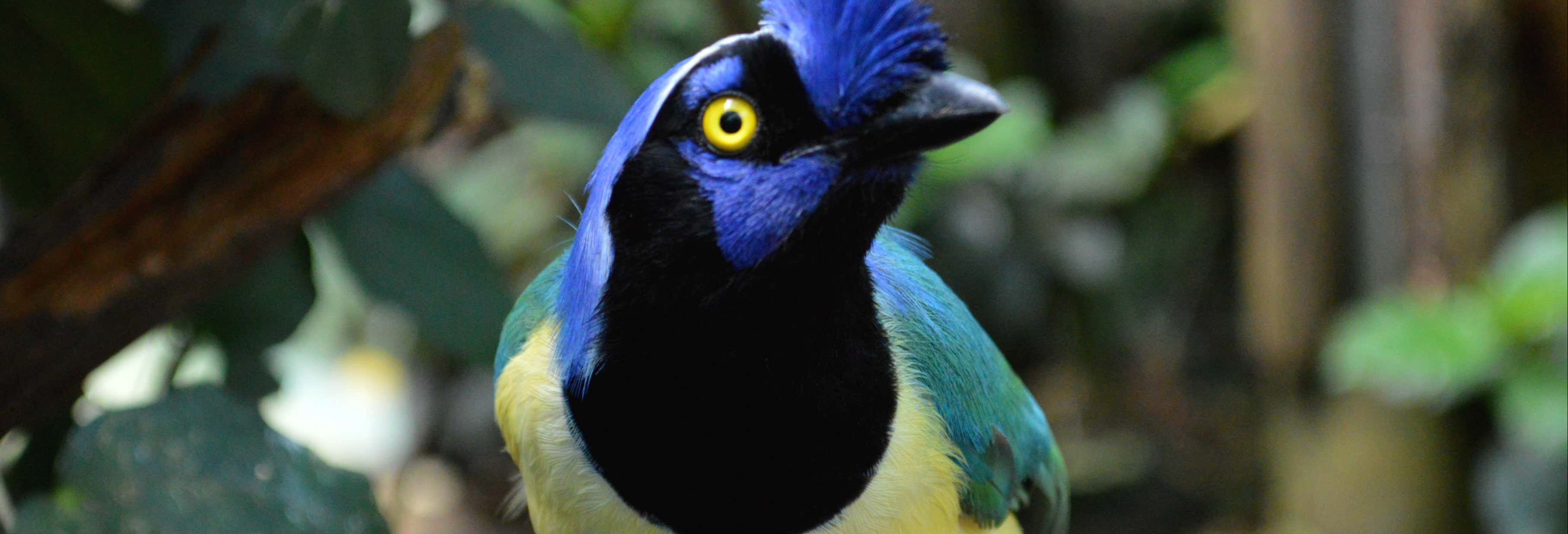 Escursione al Bioparco La Reserva