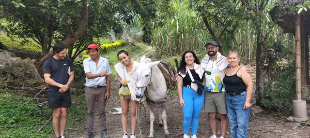 Escursione a Nocaima e alla Vega + Visita alla tenuta di panela El Bambú