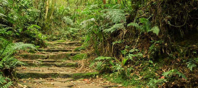 Escursione al Parco Naturale Chicaque