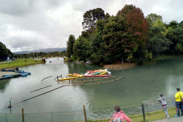 Imagen 3