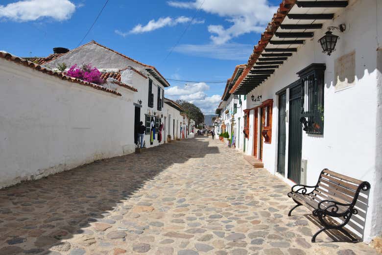 Imagen 5