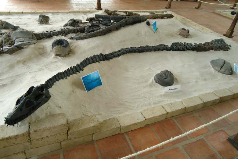 Imagen 3