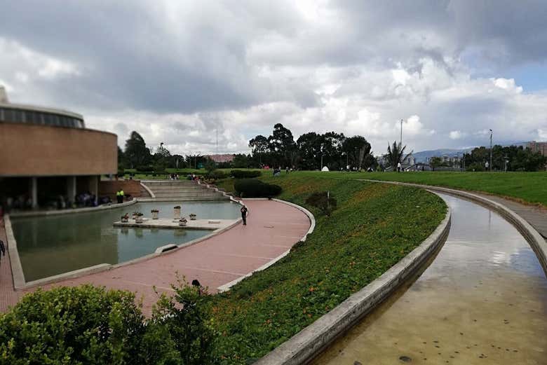 Imagen 6