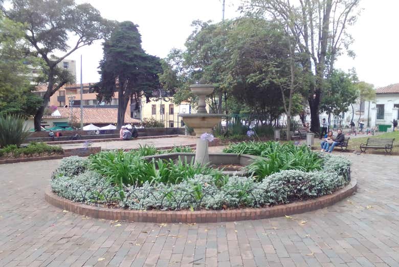 Imagen 7