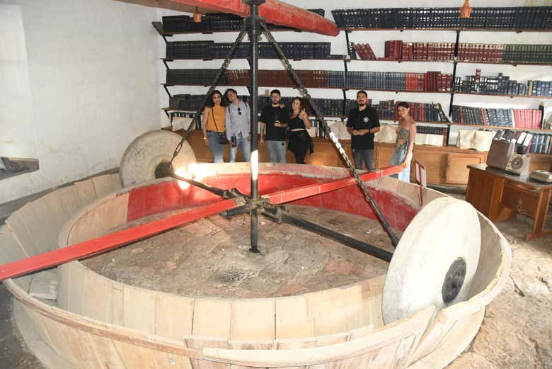 Imagen 11