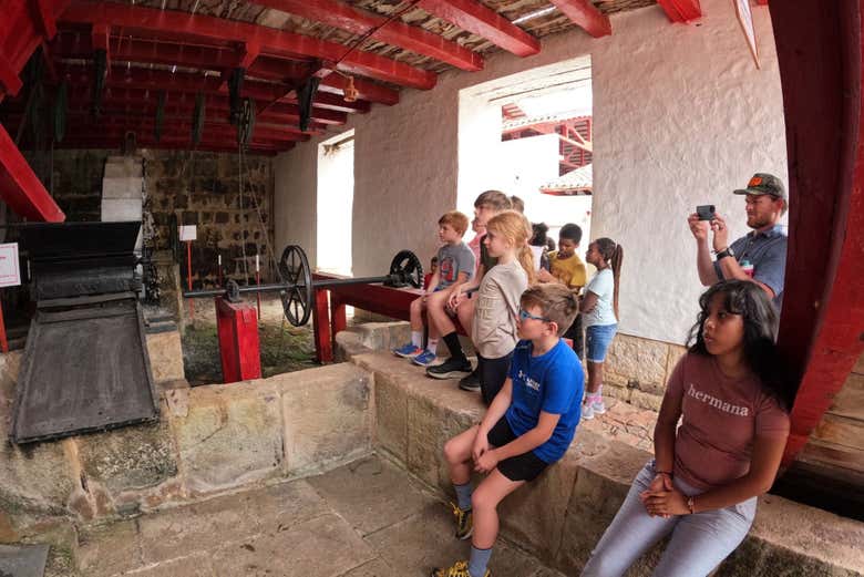Imagen 9