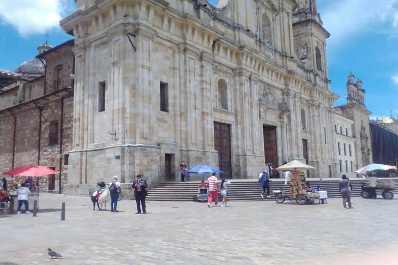 Imagen 15
