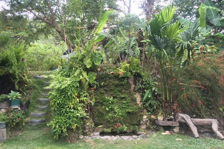 Connect with nature in Nocaima and La Vega! - Connect with nature in Nocaima and La Vega!