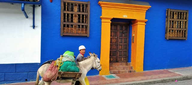 Tour della cultura colombiana