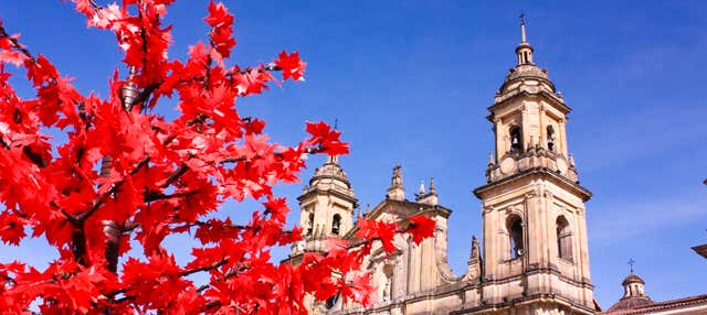 Tour privato di Bogotà