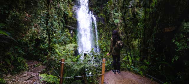 Trekking al parco avventura La Chorrera