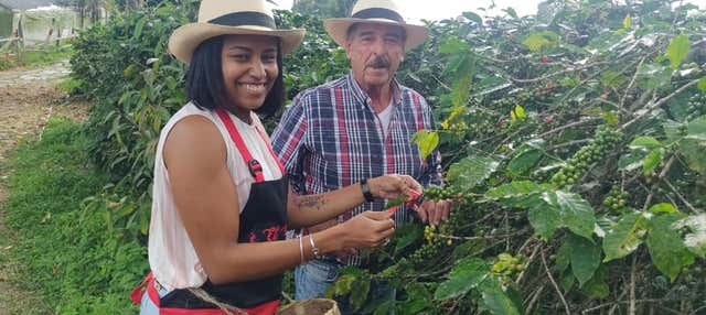 Visita alla tenuta di caffè El Edén