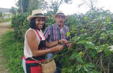 Visita à fazenda cafeeira El Edén