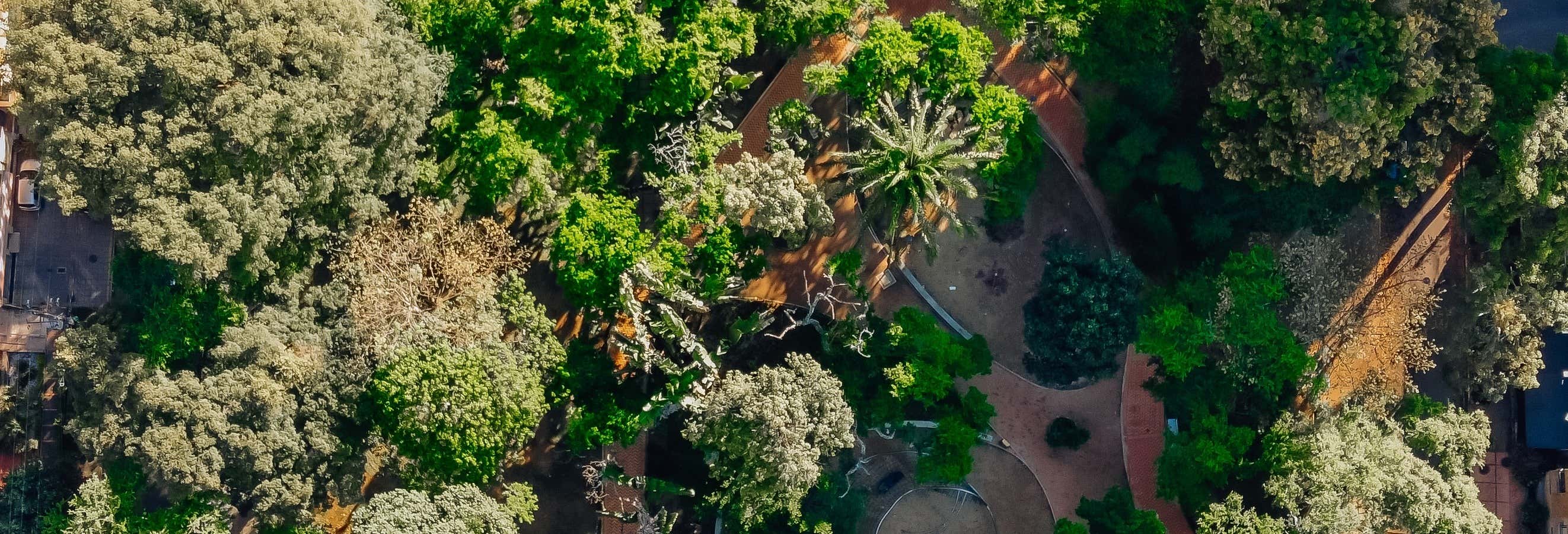 Free tour della Comuna 12