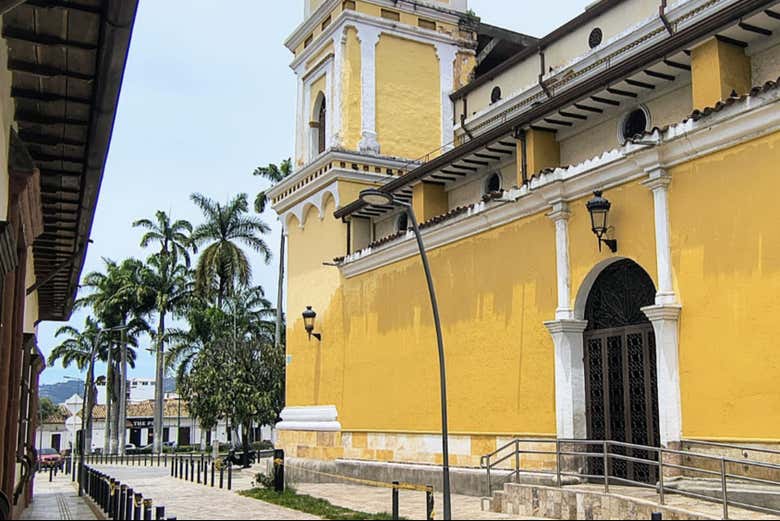 Imagen 5