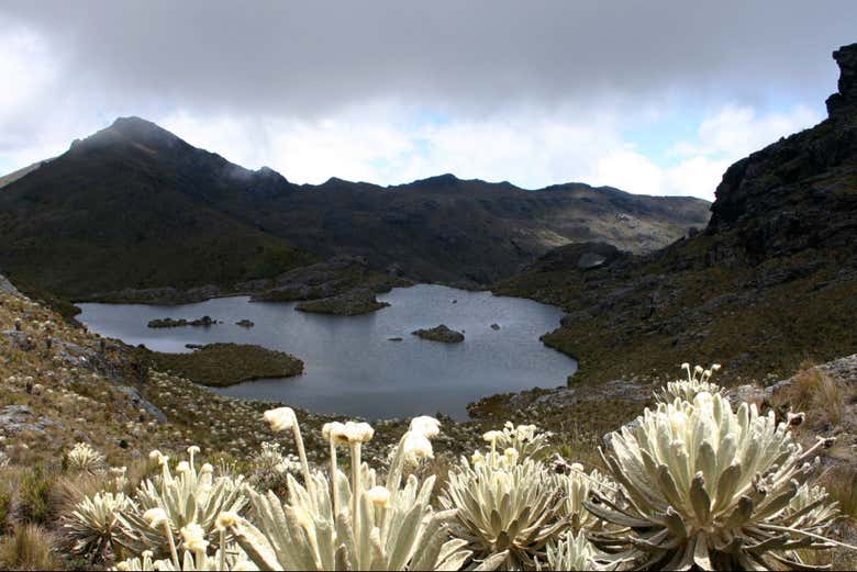 Imagen 3