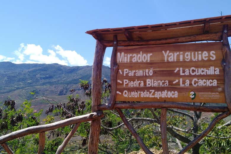 Imagen 5