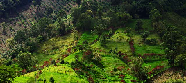 Escursione a Córdoba, Buenavista e Pijao