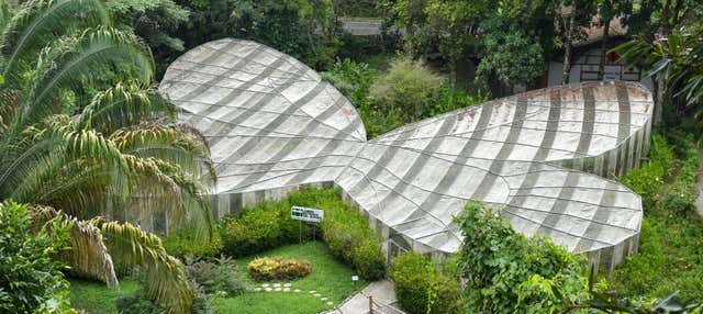 Tour del Giardino Botanico del Quindío