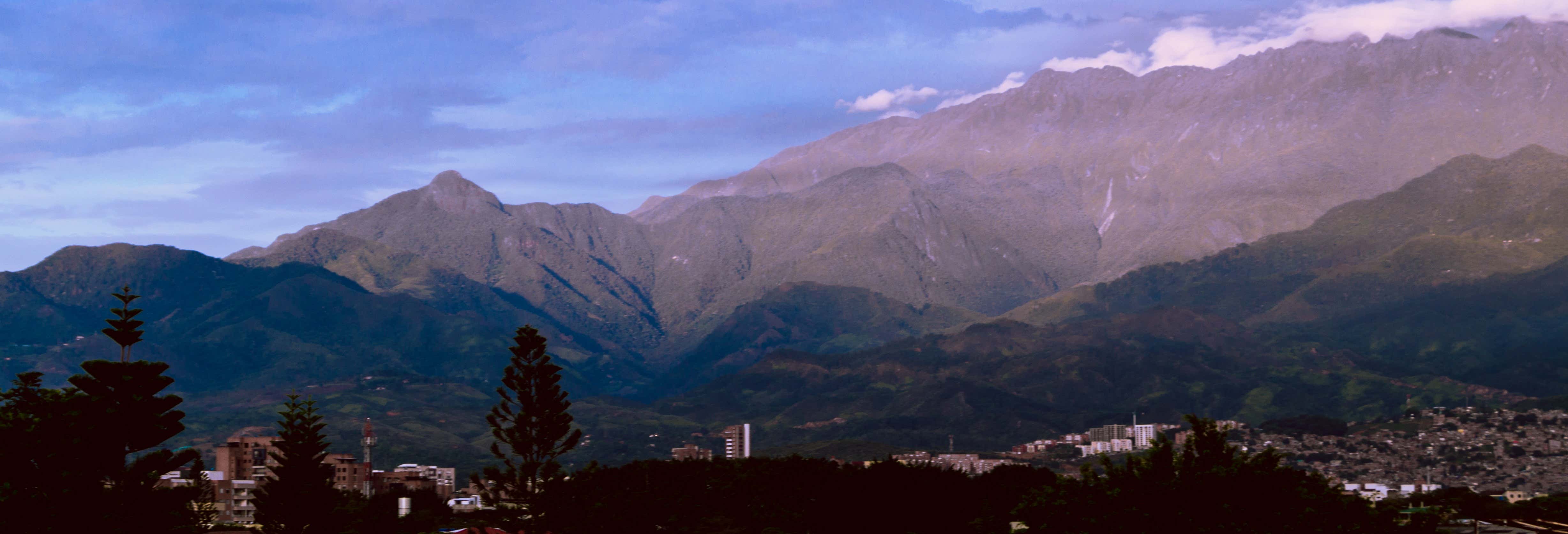 Avistamiento de aves en Cali