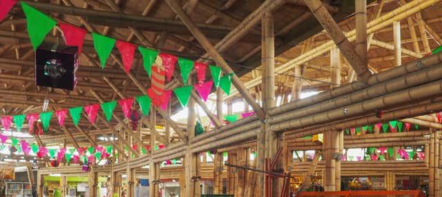 Tour di Galería Alameda e dell'artigianato di Cali