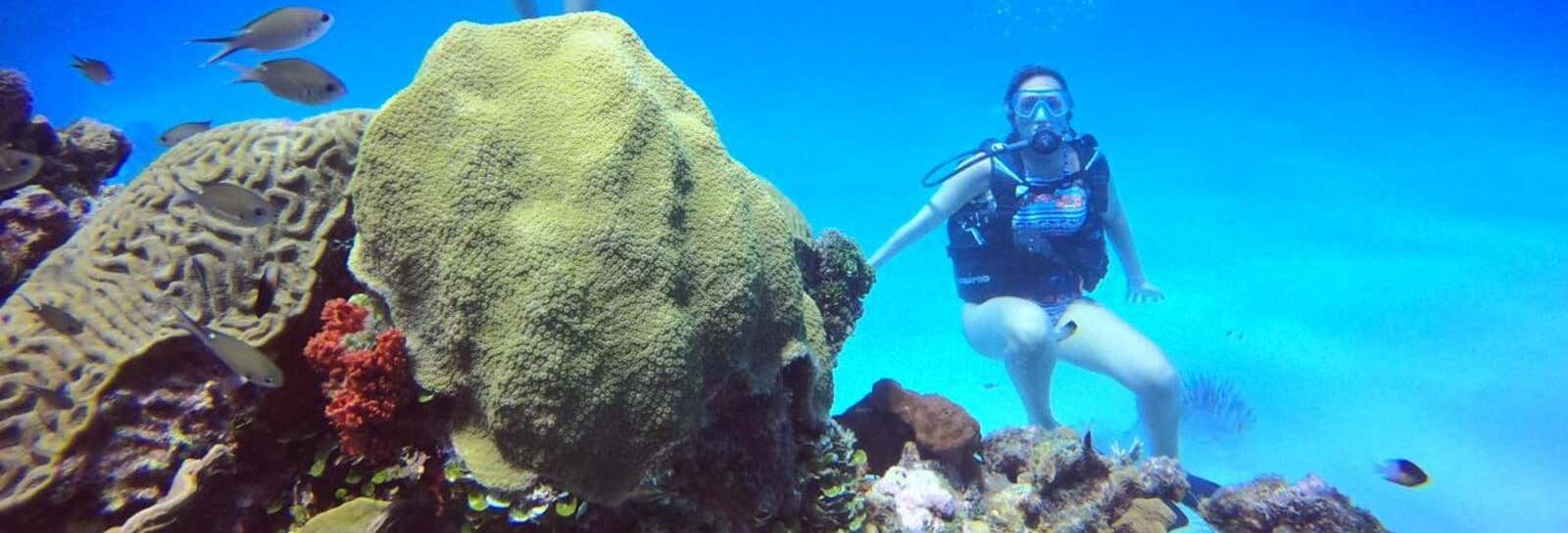 Immersione per principianti a Cartagena