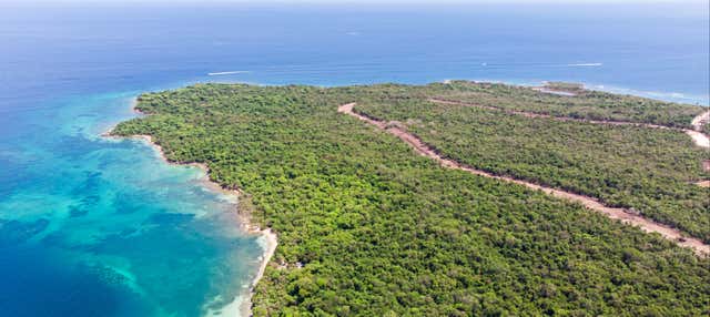 Immersione ai relitti sommersi di Barú